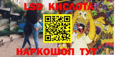 Альфа ПВП Моздок