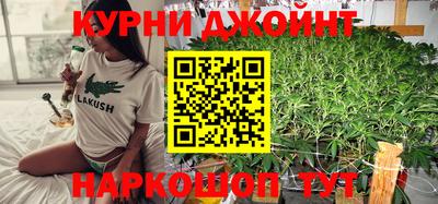 Альфа ПВП Моздок