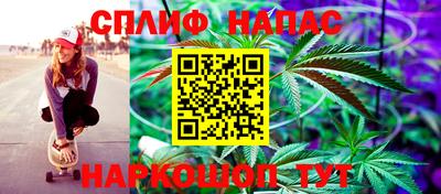 Альфа ПВП Моздок